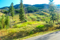 Looking up the slopes of Mount Cory.