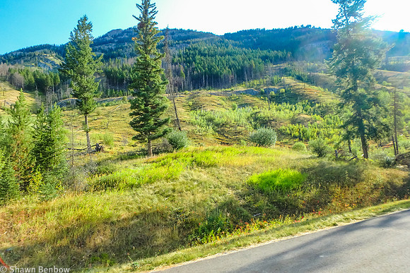 Looking up the slopes of Mount Cory.
