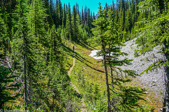 Heading up the Tryst Lake Trail.