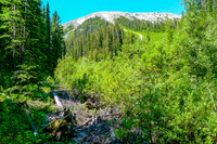 Avalanche debris from Tent Ridge on the Tryst Lake Trail.