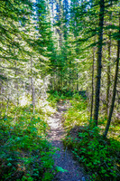 The Tryst Lake Trail just after the junction from the old road.