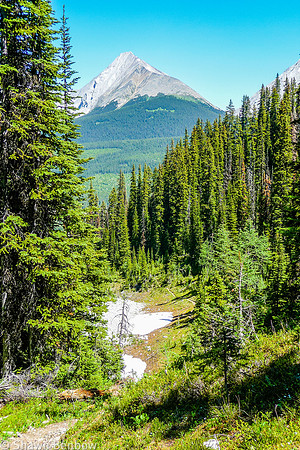 View of The Tower [3124m] from the Trist Lake trail.