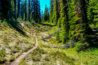 Tryst Lake Trail