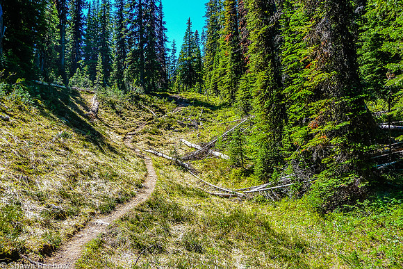 Tryst Lake Trail