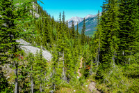 View to the northeast along the Spray Valley from partway up the Tryst Lake Trail.