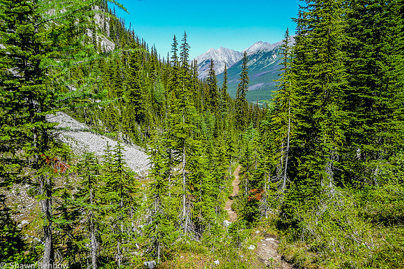 View to the northeast along the Spray Valley from partway up the Tryst Lake Trail.