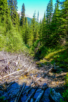 Avalanche debris on the Tryst Lake Trail.