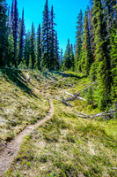 Tryst Lake Trail