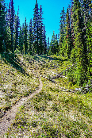 Tryst Lake Trail