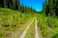 The first 1.5 kilometres is along an old road.