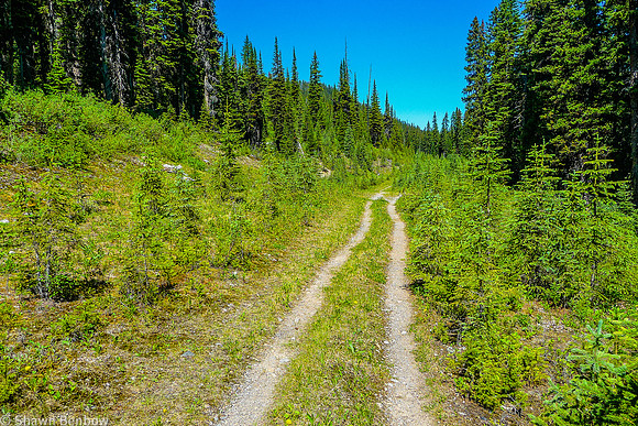 The first 1.5 kilometres is along an old road.