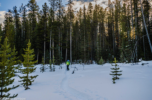 Jenn and Bruce emerging from the trees toward the lakeshore.