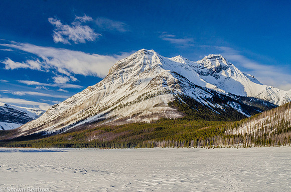 Cone Mountain [2910m].