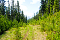 The trail starts off as an old road