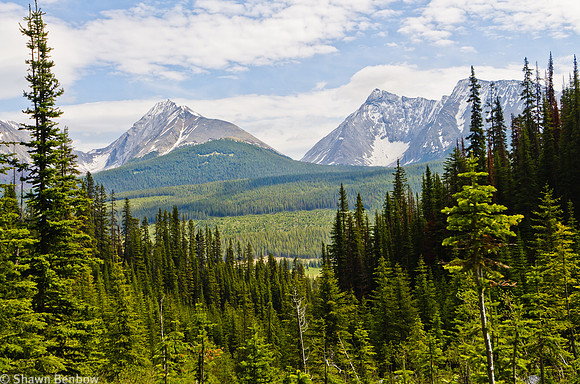 The Tower (3124m) [left] & Mount Galatea (3185m) [right]; Rummel Pass is between
