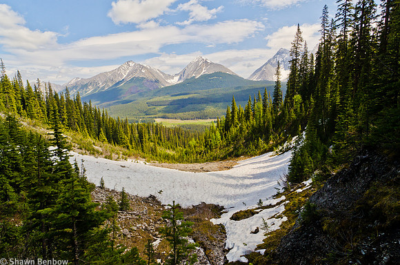 Mount Engadine (2970m) [left],  The Tower (3124m) [centre], & Mount Galatea (3185m) [right]