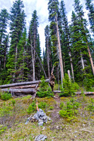 Junction to Tryst Lake