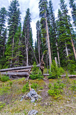Junction to Tryst Lake
