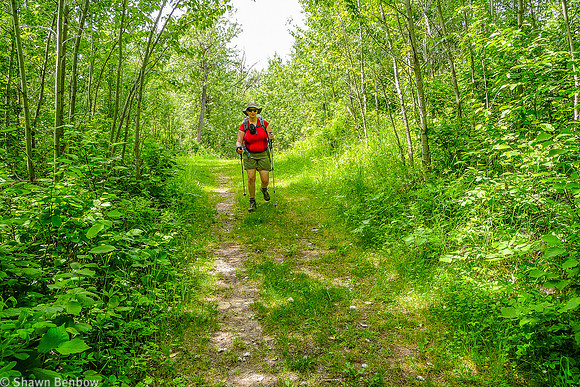 Jenn hiking along the Shirley Lake Trail.