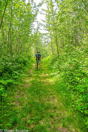 Shawn hiking with James along the Shirley Lake Trail.