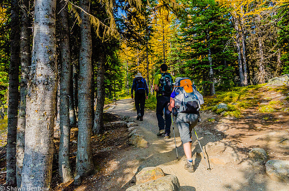Ivan, Andrew, and Jenn on the Larch Valley Trail