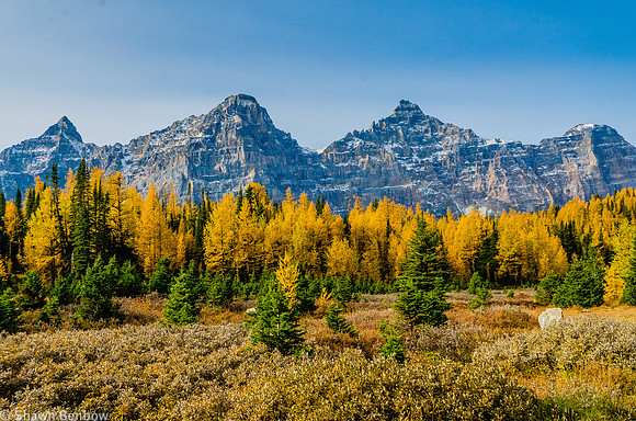Mount Allen [3301m], Mount Tuzo [3245m], Deltaform Mountain [3424m], and Neptuak Mountain [3237m] from the Larch Valley