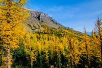 Southern Slope of Mount Temple from the Larch Valley