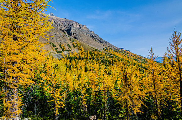 Southern Slope of Mount Temple from the Larch Valley