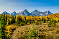 Mount Perren [3051m], Mount Allen [3301m], Mount Tuzo [3245m], Deltaform Mountain [3424m], and Neptuak Mountain [3237m] from the Larch Valley