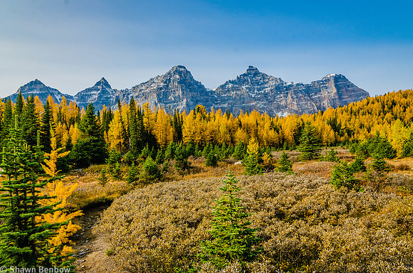 Mount Perren [3051m], Mount Allen [3301m], Mount Tuzo [3245m], Deltaform Mountain [3424m], and Neptuak Mountain [3237m] from the Larch Valley