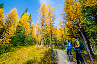 After 300 vertical metres of switchbacks, Carolyn and Andrew stop to see the first patch of larches