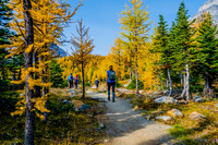 Carolyn on the Larch Valley Trail