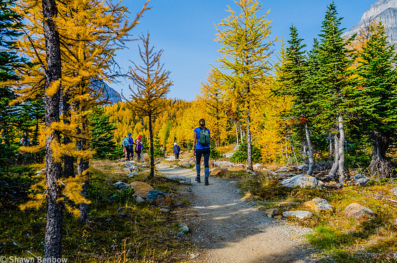Carolyn on the Larch Valley Trail