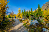 Larch Valley Trail
