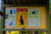 Morraine Lake Trailhead