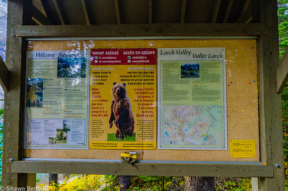 Morraine Lake Trailhead