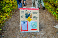 Bear Restriction in the Valley of the Ten Peaks