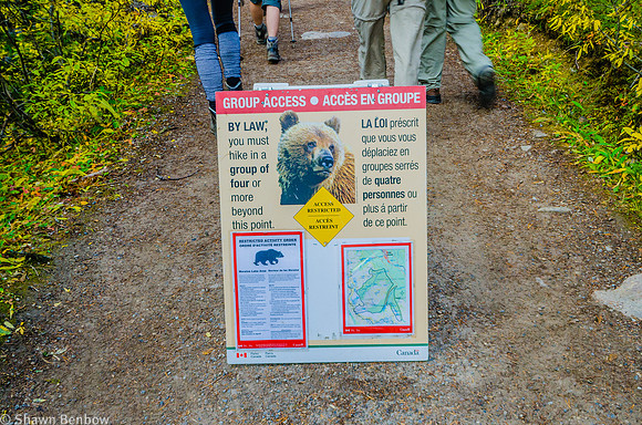 Bear Restriction in the Valley of the Ten Peaks
