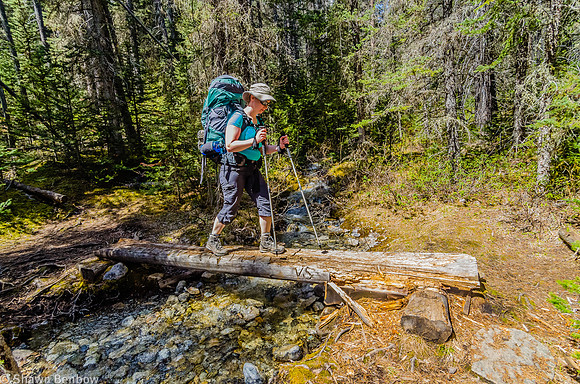 Jenn crossing one of several small bridges on a tributary to the Howse River.