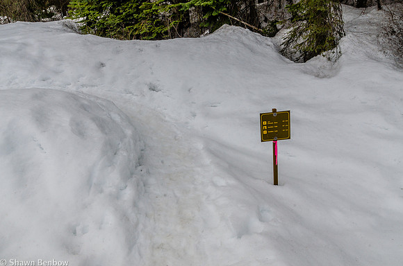 Trail sign at the start of the Hamilton Falls Trail.