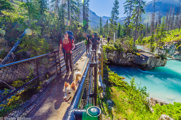 Mark, Charlie, Christina, and Adam on the Tokumm Creek Bridge at Marble Canyon.