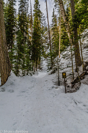 A fork in the trail.