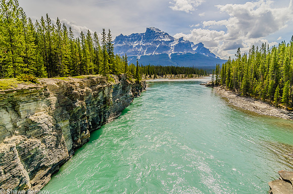 North Saskatchewan River and Mount Murchison [3333m] from the Glacier Lake Trail.
