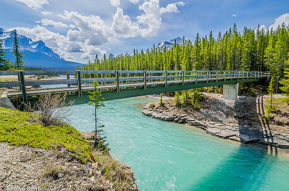 The Glacier Lake Trail crosses the North Saskatchewan River about 1 kilometre from the trailhead.