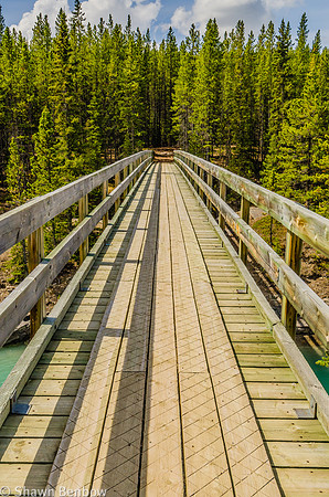 The Glacier Lake Trail bridge over the North Saskatchewan River.