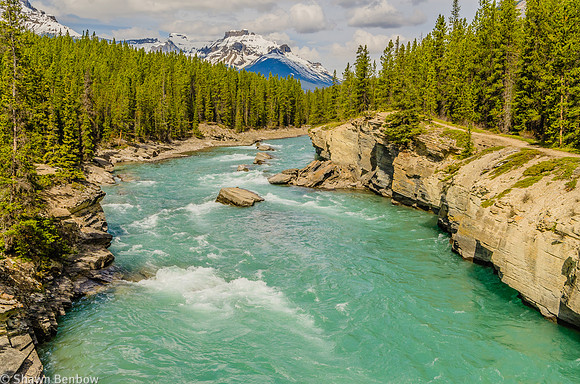 View to the north along the North Saskatchewan River from the Glacier Lake Trail.