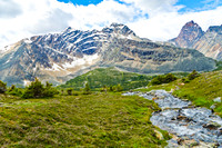 Verdant Pass 2011