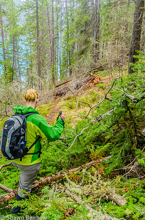Jenn balancing on some fresh avalanche debris on the Glacier Lake Trail.