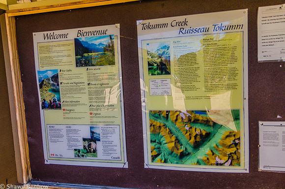 Tokumm Creek information