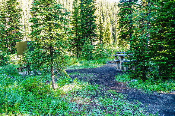 Helmet Falls Campground eating area.